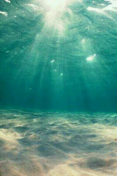 許清歡傅宴時(shí)傅佳佳